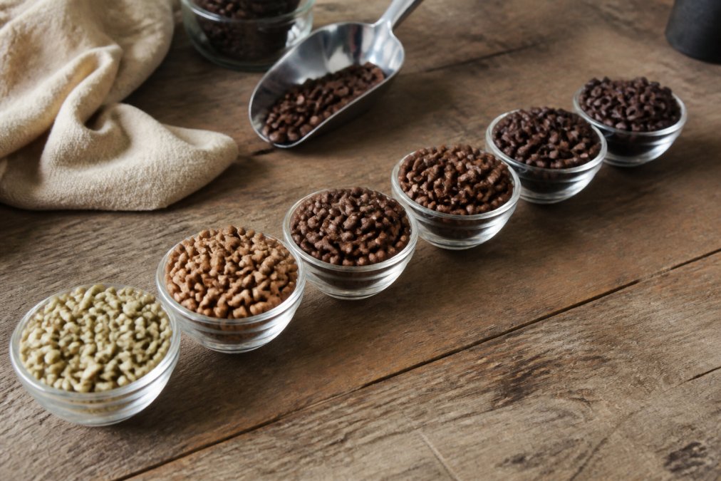 How to Choose Coffee Roast Levels